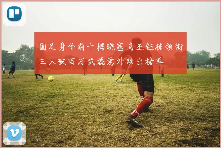 国足身价前十揭晓塞鸟王钰栋领衔三人破百万武磊意外跌出榜单